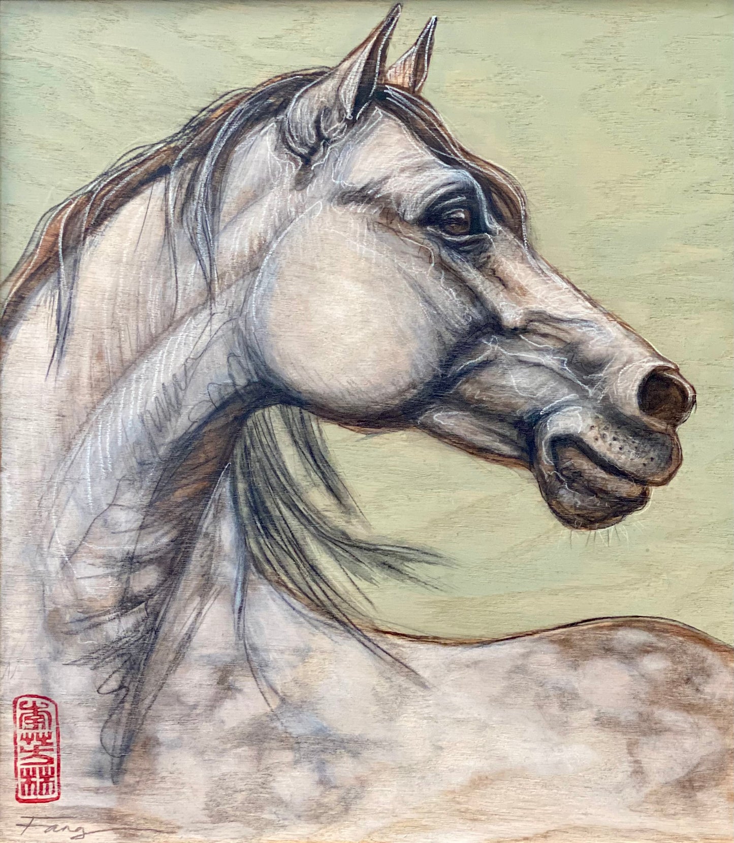 “Sketchy Horses” 24-02