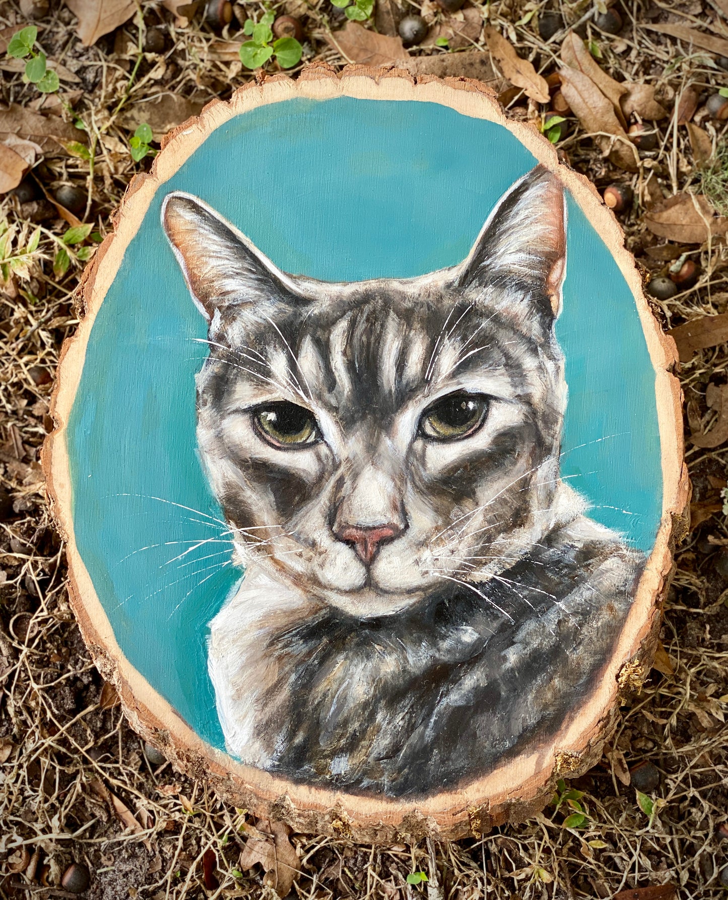 Pet Portraiture on Live Edge Wood Oval