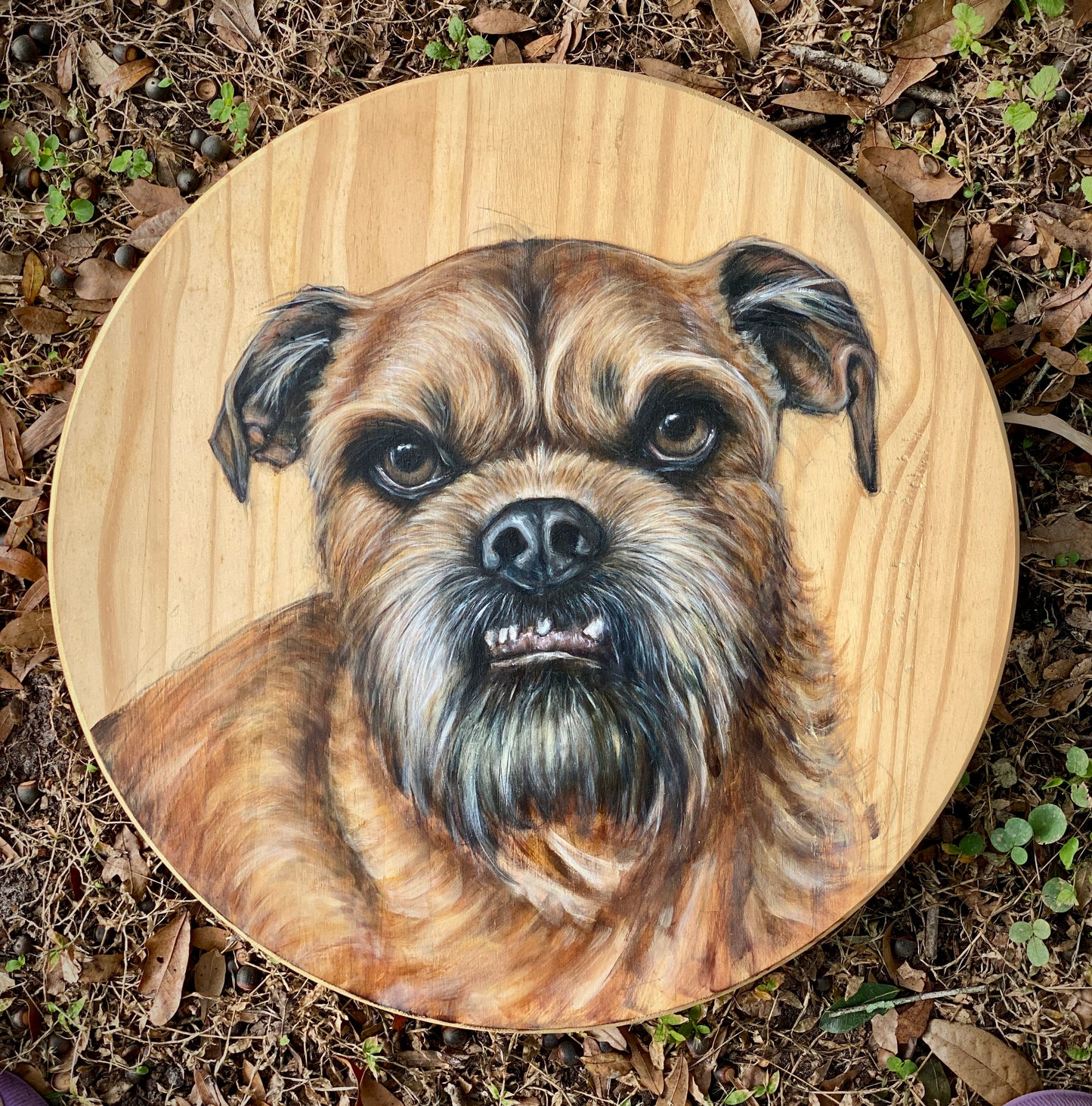 Pet Portraiture on 18” Wood Round