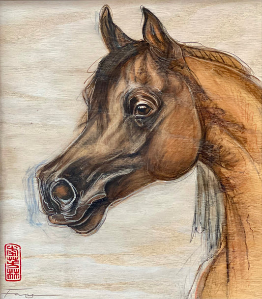 “Sketchy Horses” 24-05