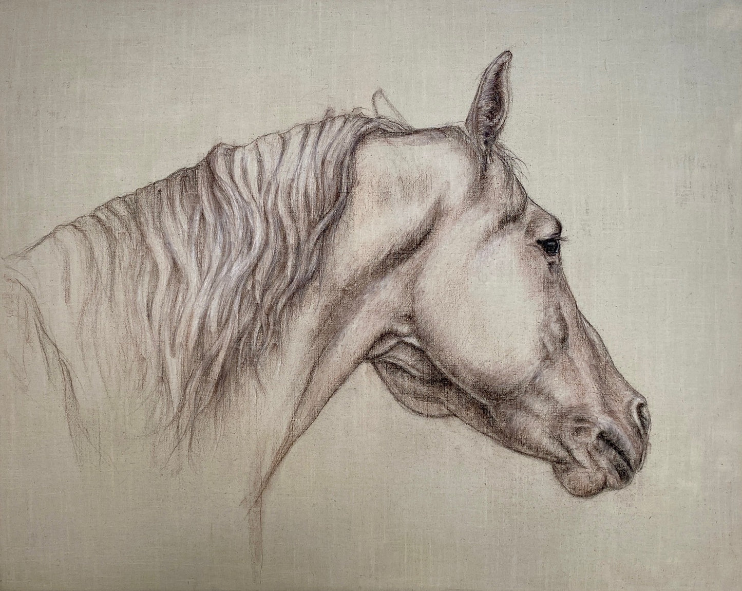 "Quiet Elegance" - Original Horse Art on Linen